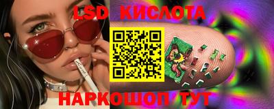 крисы Шелехов