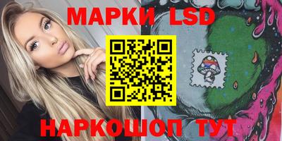крисы Шелехов