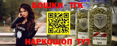 крисы Шелехов