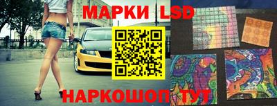 крисы Шелехов