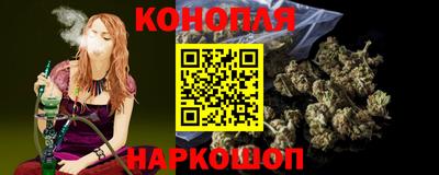 крисы Шелехов