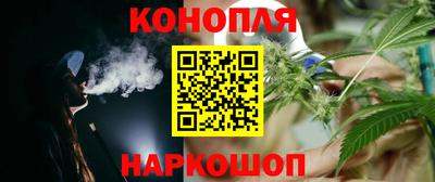 гидропоника Шахты