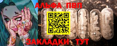 крисы Шелехов