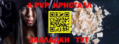 крисы Шелехов
