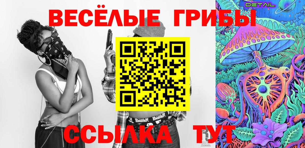 Артём  Псилоцибиновые грибы прущие грибы  Вход с VPN  Галлюциногенные грибы GOLDEN TEACHER 